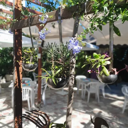 Guest house Mi Campana Denia