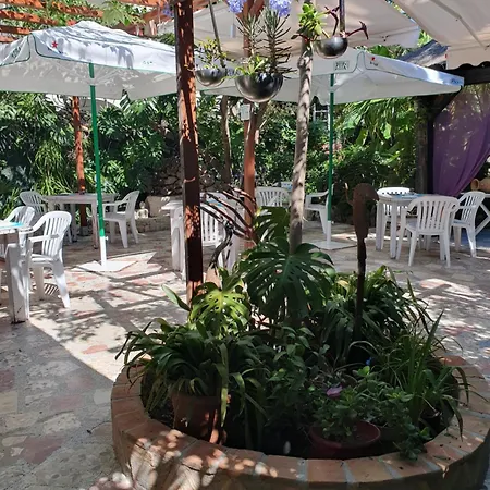 Mi Campana Denia